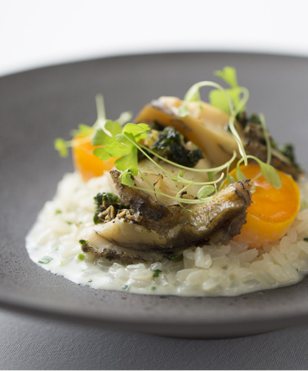 フランス料理 ディナー