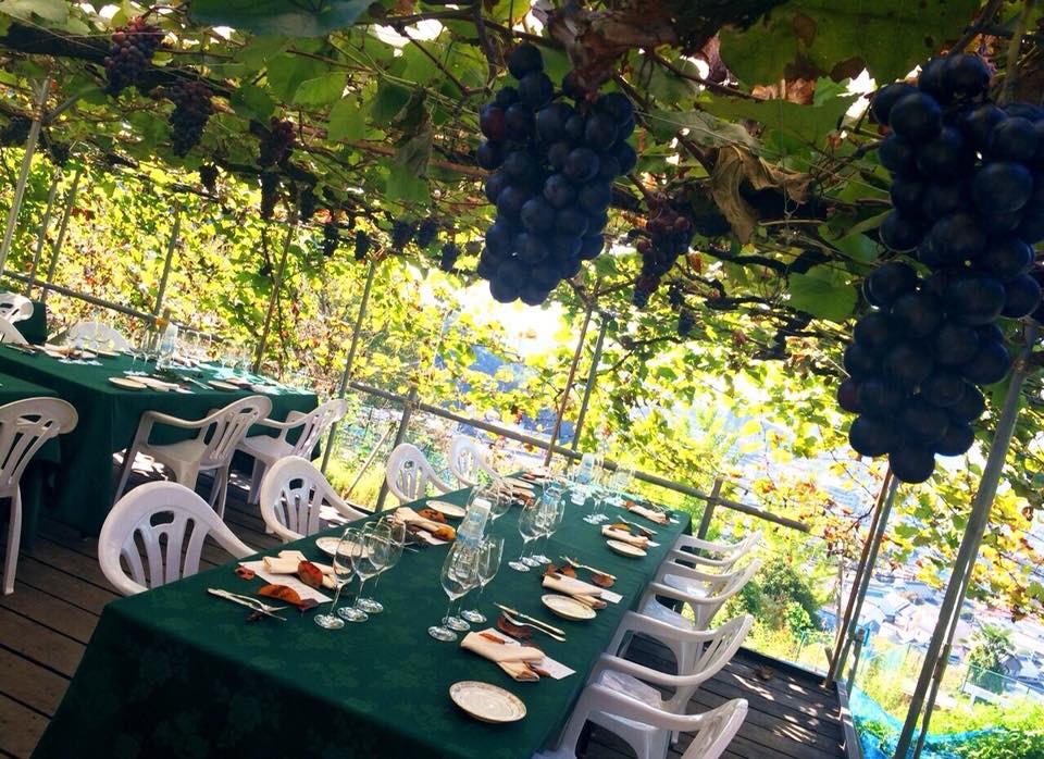 葡萄畑でフレンチ!(2018年10月21日・10月28日開催)